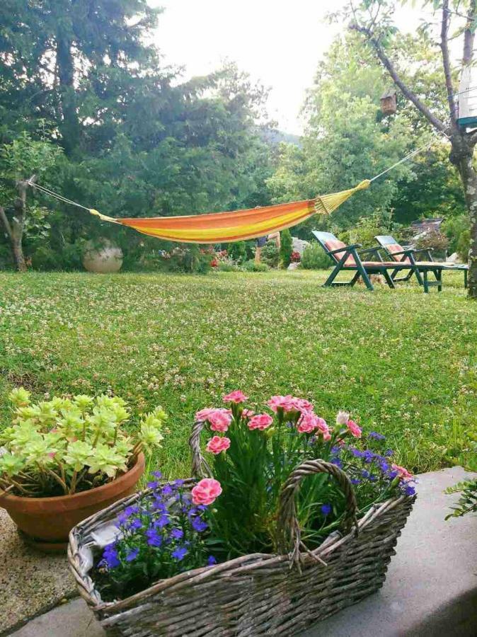 Apartment Ruza 3 *