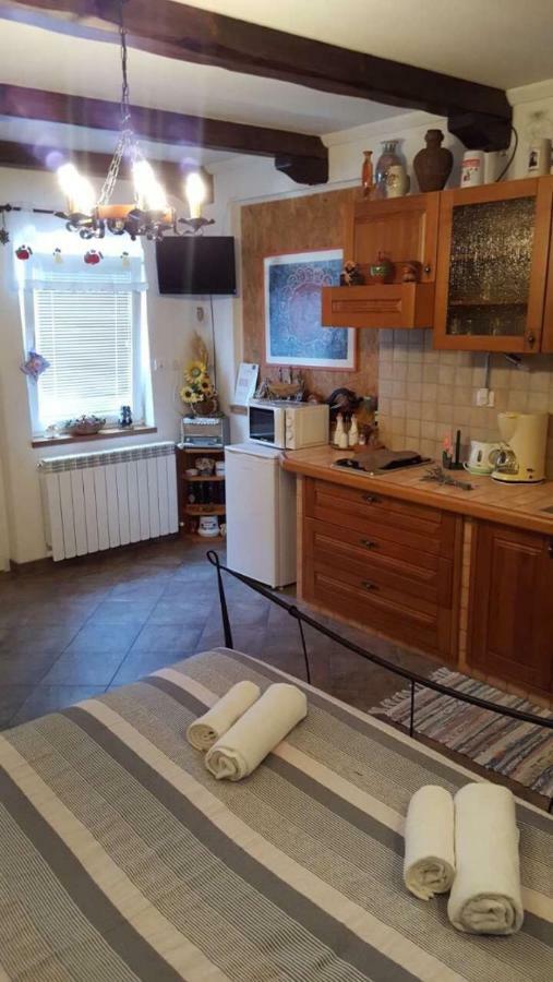 Ruza 3 Apartment Poljane
